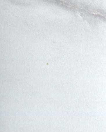 мрамор леванто белый F812 ST9